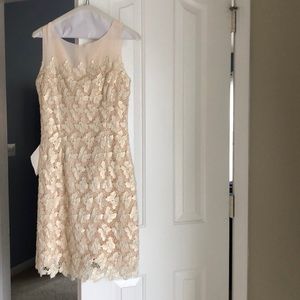 EUC gorgeous Lilly Pulitzer dress, size 0